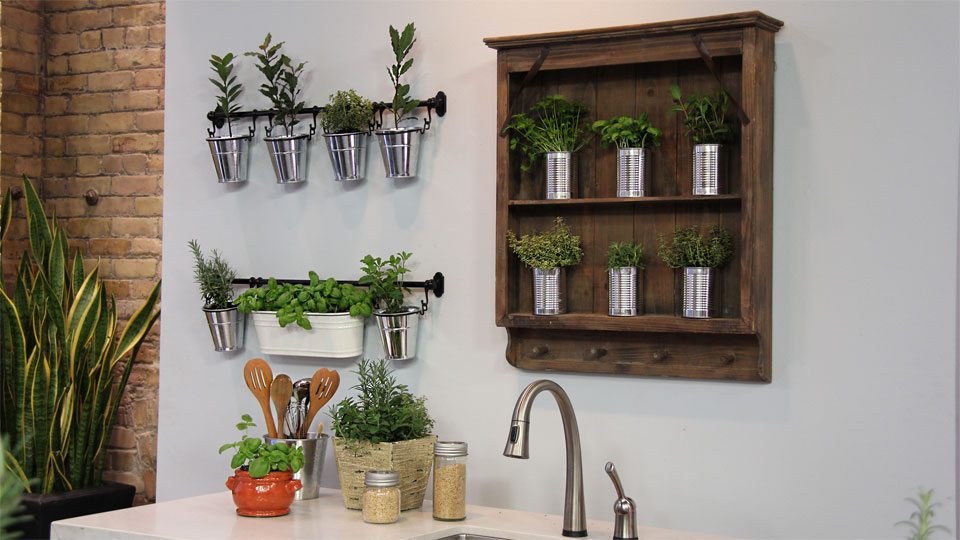 summer trends herb garden